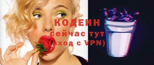 гидра Гатчина