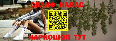 стаф Заводоуковск