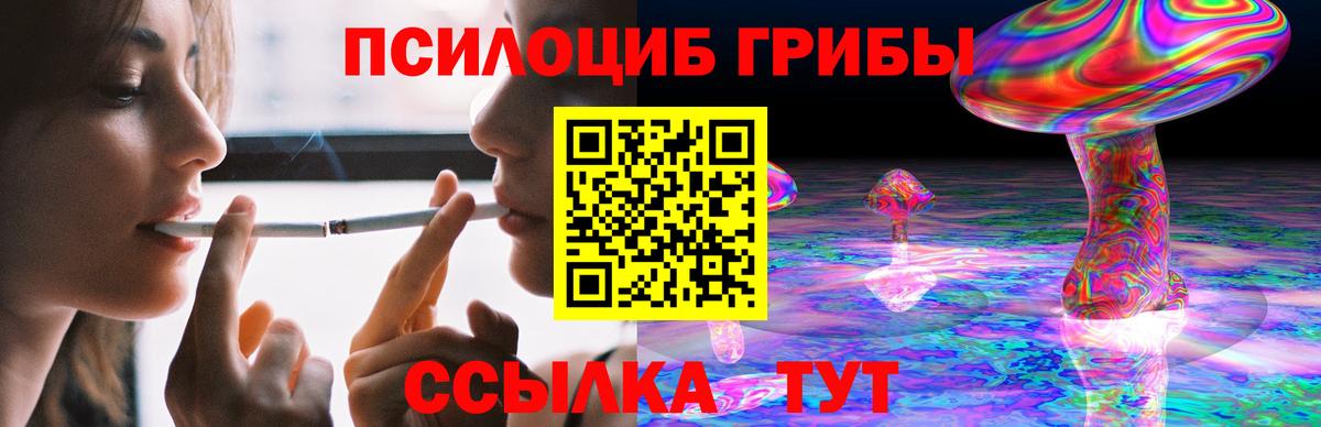 Псилоцибиновые грибы Cubensis  Вход с VPN  Ливны 